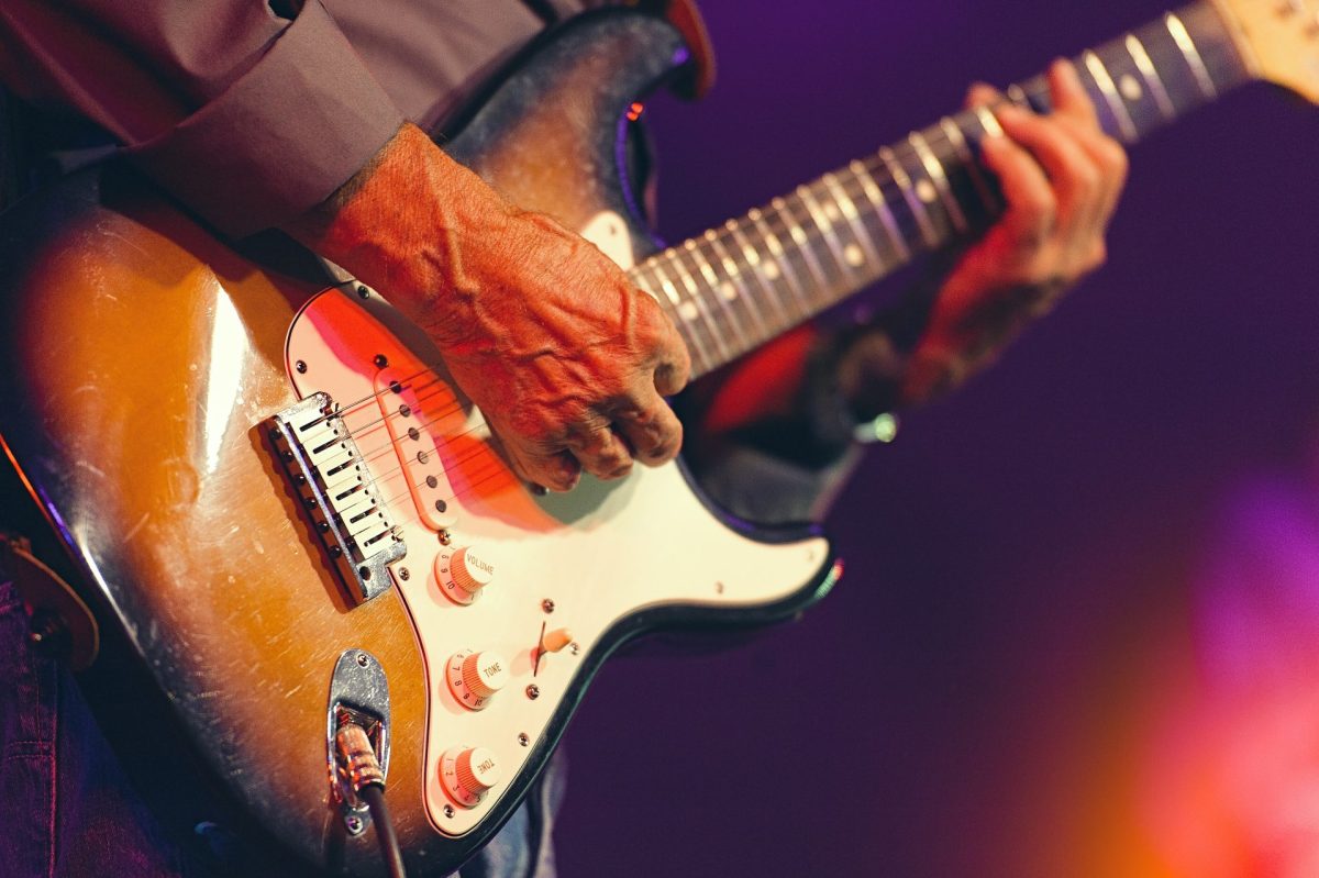 guitare steve morse