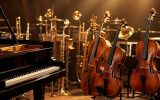 Les familles d'instruments de musique et leurs rôles