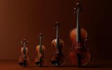 Les 4 instruments à cordes frottées classés du plus aigu au plus grave