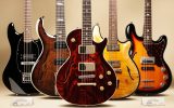 Quel instrument à 8 cordes choisir pour votre style ?