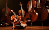 Quels sont les instruments à cordes frottées et leurs particularités