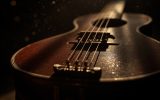 Quel instrument a 16 cordes ? la réponse fascinante
