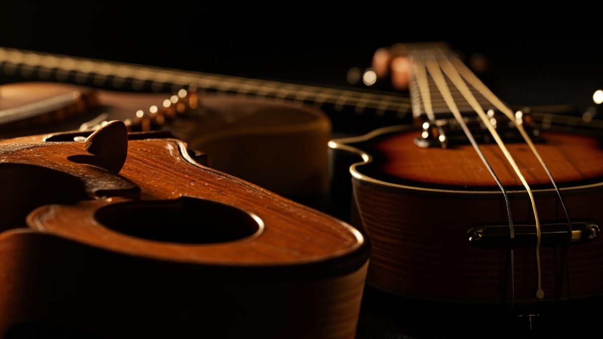 Les différents instruments à 4 cordes et leurs particularités