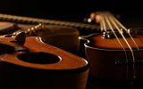 Les différents instruments à 4 cordes et leurs particularités