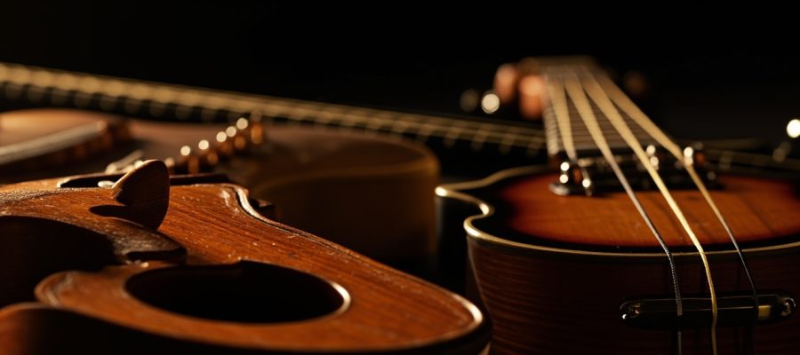 Les différents instruments à 4 cordes et leurs particularités