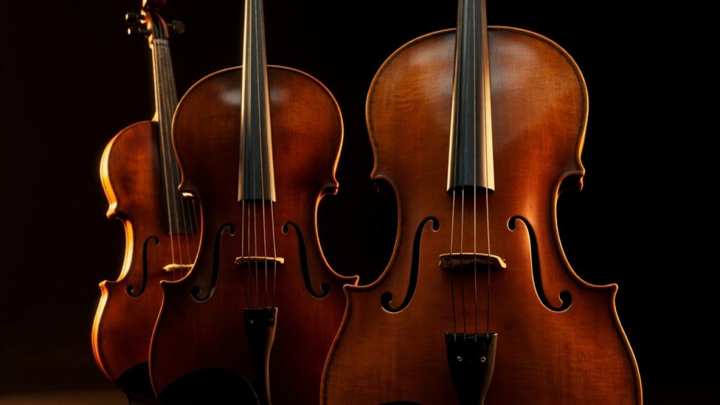 Les quatre principaux instruments à cordes de l'orchestre symphonique