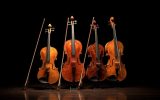 Les quatre principaux instruments à cordes de l'orchestre symphonique