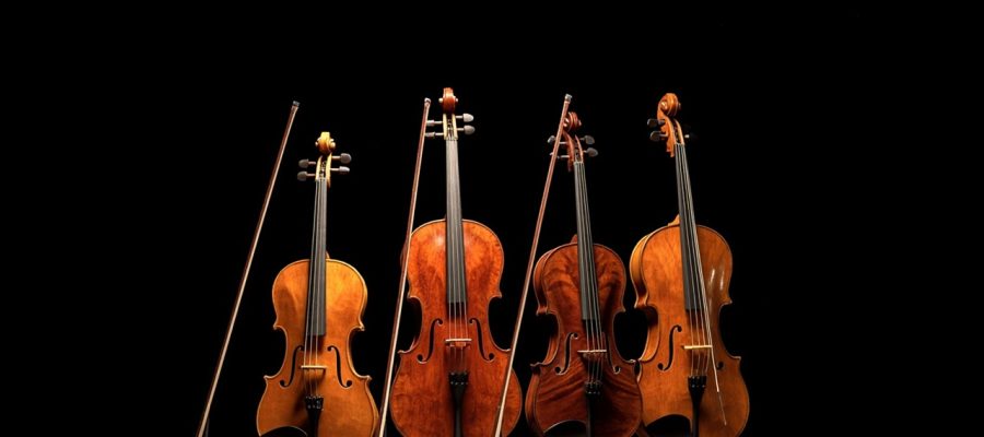 Les quatre principaux instruments à cordes de l'orchestre symphonique