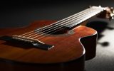 Quel instrument possède 10 cordes : guide complet des modèles