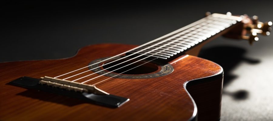 Quel instrument possède 10 cordes : guide complet des modèles