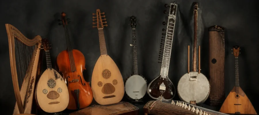 Instruments de musique à cordes : familles, fonctionnement et exemples du monde